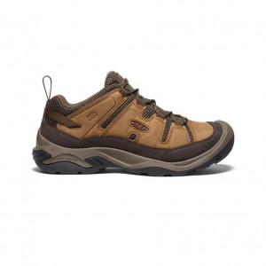 Buty Trekkingowe Keen Circadia Vent Wide Męskie Brązowe | KENUCJI-43