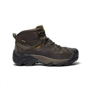 Buty Trekkingowe Keen Targhee II Mid Waterproofs Męskie Brązowe | JGYSVHQ-80