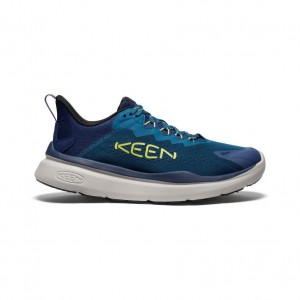 Buty do Chodzenia Keen WK450 Męskie Niebieskie | UWLGNSF-58
